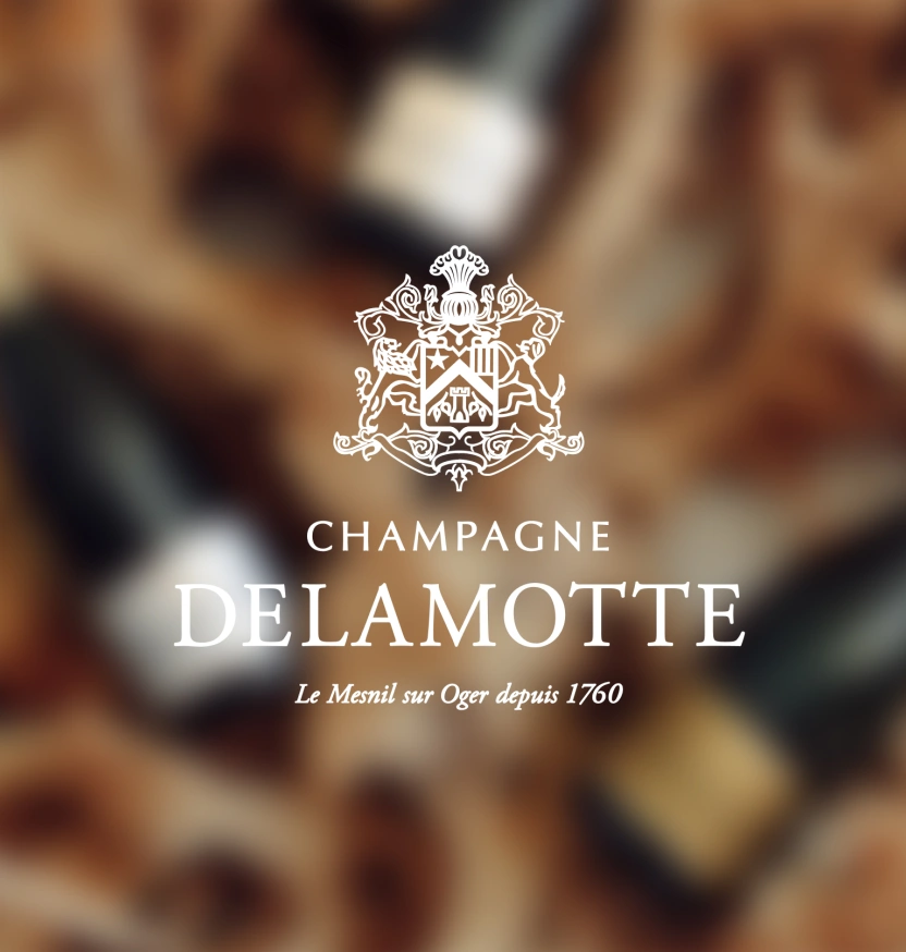 Delamotte : de la Maison discrète à la marque qui initie