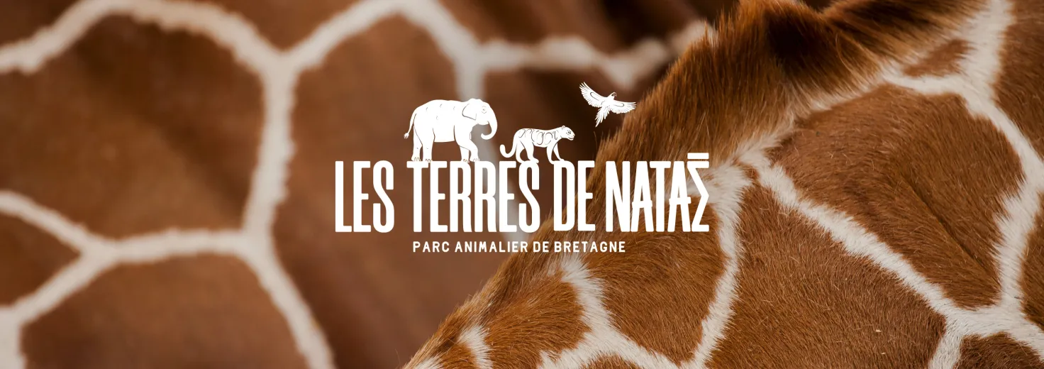 Les Terres de Nataé : d'un ancien zoo à une terre de préservation des espèces les plus menacées
